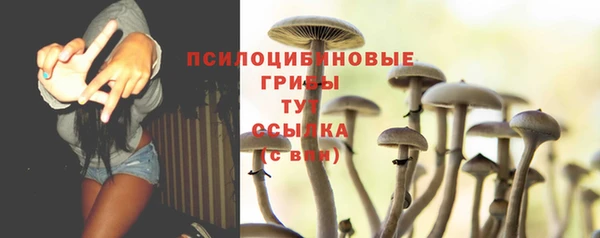 ECSTASY Аркадак